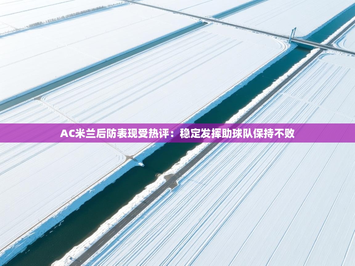 AC米兰后防表现受热评：稳定发挥助球队保持不败  第2张