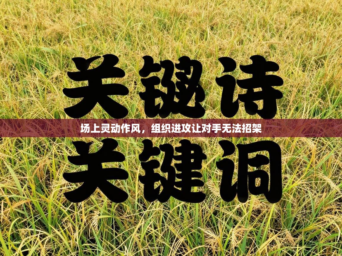 场上灵动作风，组织进攻让对手无法招架  第1张